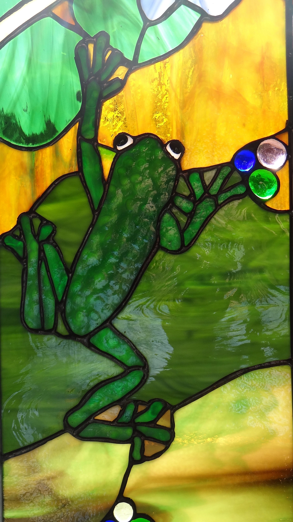 Closeup of the Frog